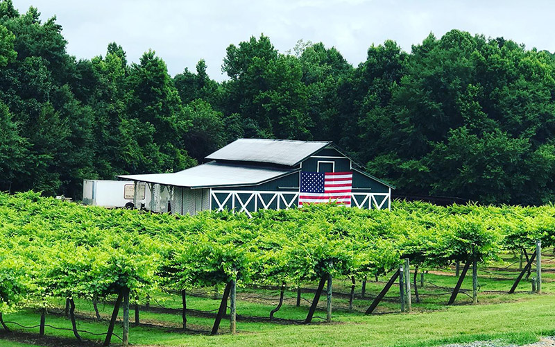 Rocky River Vineyard